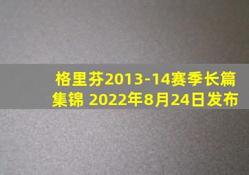 格里芬2013-14赛季长篇集锦 2022年8月24日发布